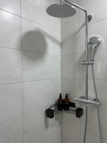 Ferienwohnung Domspatz Mit Klimaanlage Magdeburgo Esterno foto